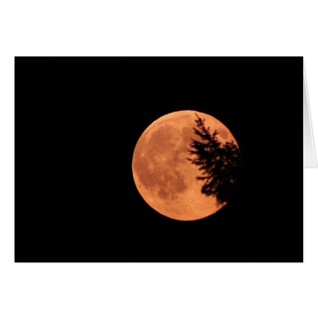 The Super Moon! (Front Horizontal)