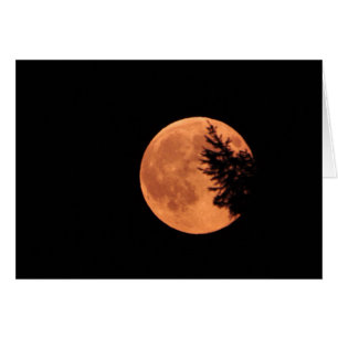 The Super Moon! Cards