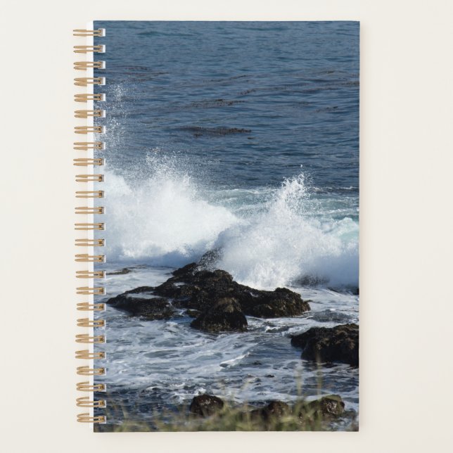 The surf of the Pacific Ocean                Planner (Front)