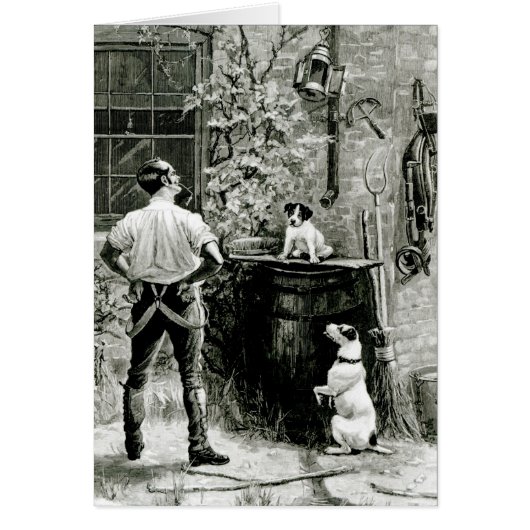 The Survival of the Fittest (Front)