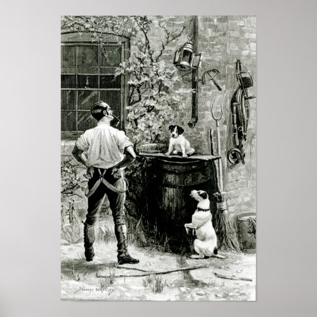 The Survival of the Fittest Poster (Front)