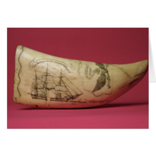 The Susan on the coast of Japan' Scrimshaw (Front Horizontal)