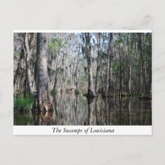 The Swamps of Louisiana Postcard