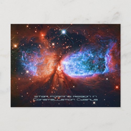 The Swan Star Birth in Constellation Cygnus Postcard