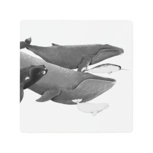 The Swim Of Whales Illustration Art Whale