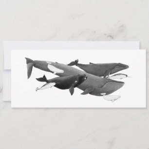 The Swim Of Whales Illustration Art Whale Card