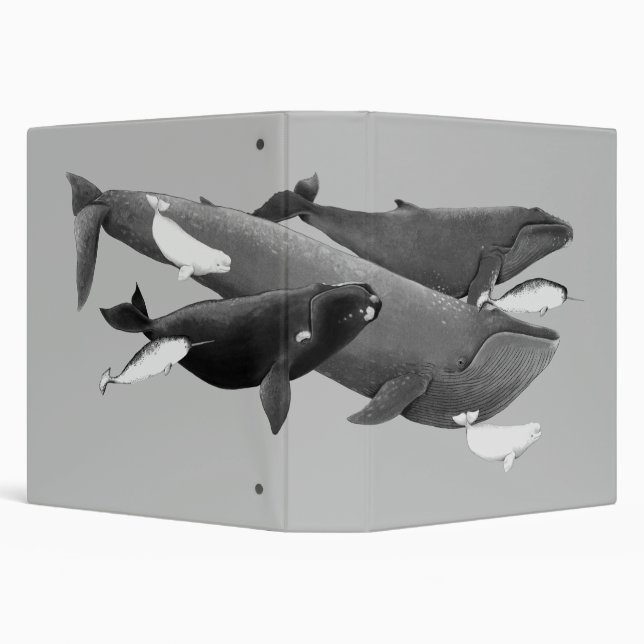 The Swim Of Whales Illustration Art Whale Grey 3 Ring Binder (Background)