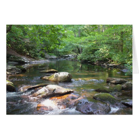 The Swimming Hole 032 Cards (Front Horizontal)