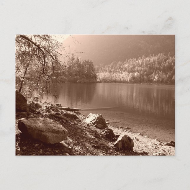 The Swimming Hole Postcard (Front)