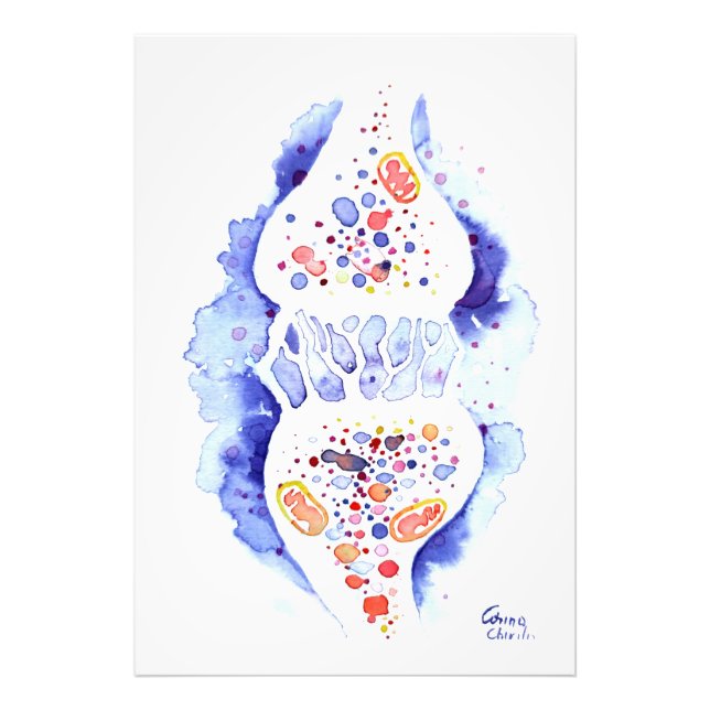 The synapse and the nerve impulse canvas print (Front)