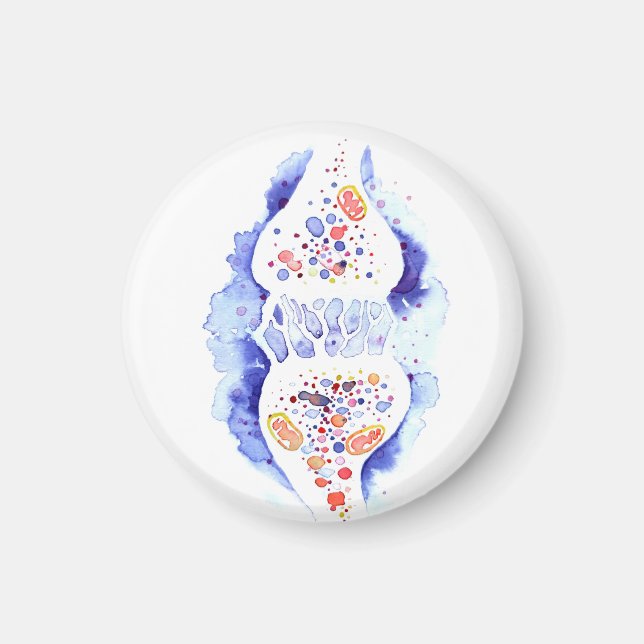 The synapse and the nerve impulse canvas print rou magnet (Front)