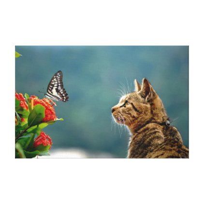 The Tabby &amp; The Butterfly Canvas Print