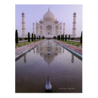 the Taj Mahal perfectly reflected in the pool in Postcard