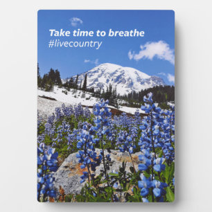 The Take Time to Breathe Plaque