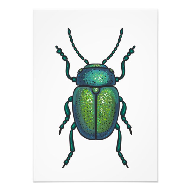 The tansy beetle photo print (Front)
