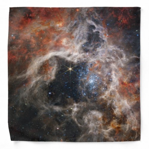 The Tarantula Nebula  NIRCam  JWST Bandana