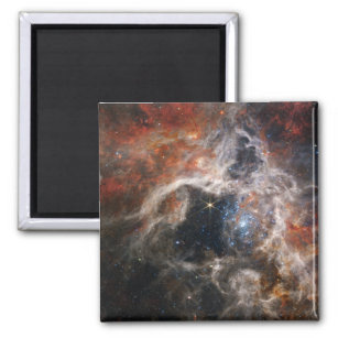 The Tarantula Nebula   NIRCam   JWST Magnet