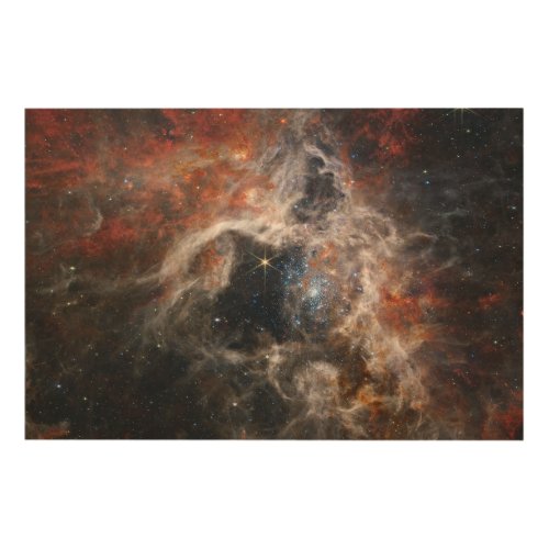 The Tarantula Nebula  NIRCam  JWST Wood Wall Art