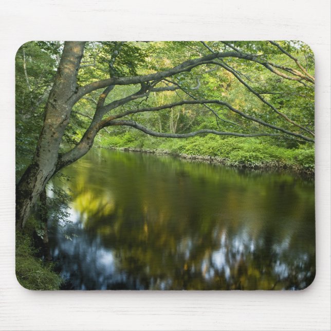 The Taunton River in Bridgewater, 2 Mouse Pad (Front)