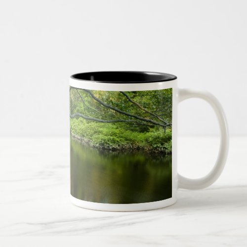 The Taunton River in Bridgewater 2 Two_Tone Coffee Mug
