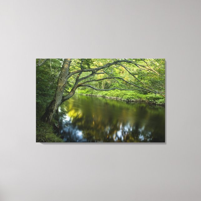 The Taunton River in Bridgewater, Canvas Print (Front)
