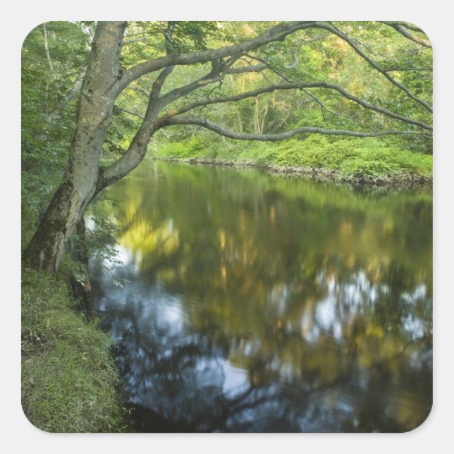 The Taunton River in Bridgewater, Square Sticker (Front)