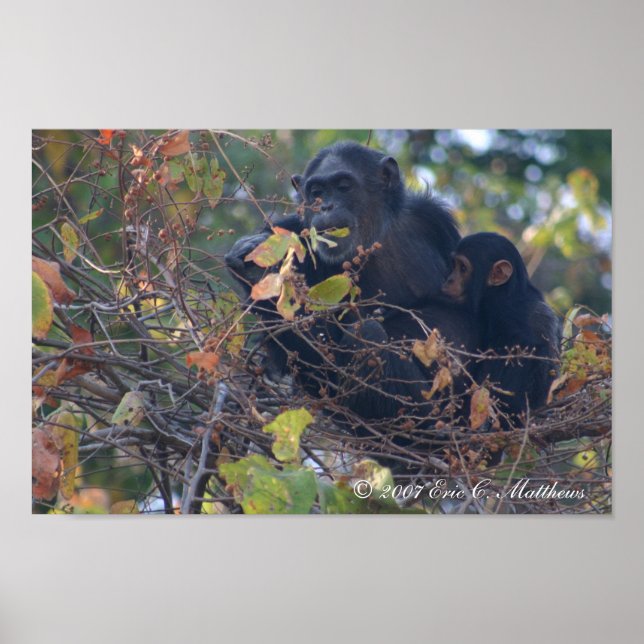 The Teacher Poster (Front)