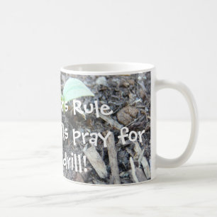 The Teachers rule Coffee Mug