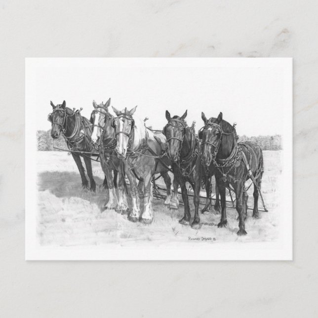 The Team Postcard (Front)