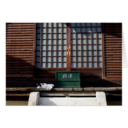 The Temple Cat (Front Horizontal)