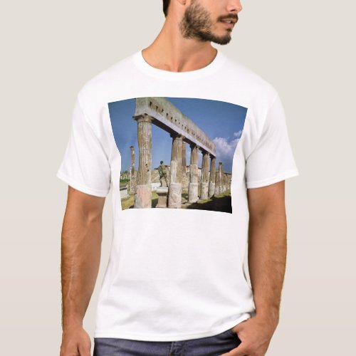 The Temple of Apollo T_Shirt