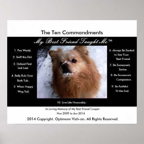 The Ten Commandments My Best Friend Taught Me Poster