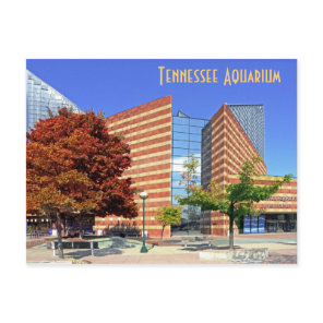 The Tennessee Aquarium - Chattanooga, TN. Postcard