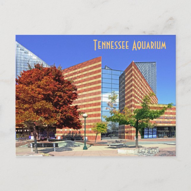 The Tennessee Aquarium - Chattanooga, TN. Postcard (Front)