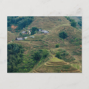 The terraces near Sapa in Vietnam Postcard