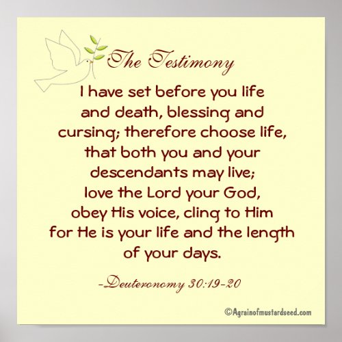 The Testimony Life and Death Bible Quote Prayer Poster