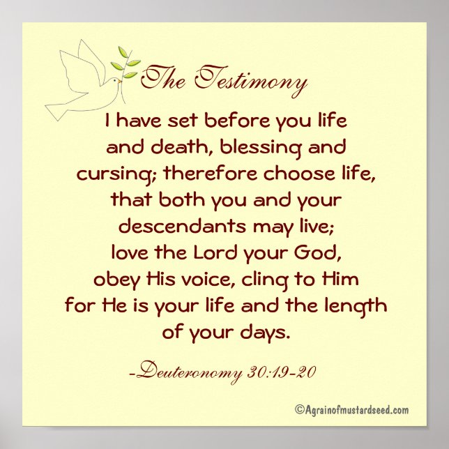 The Testimony Life and Death Bible Quote Prayer Poster (Front)