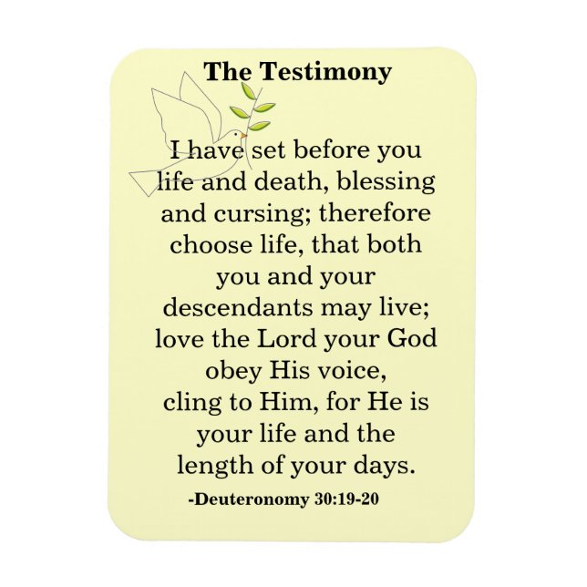 The Testimony Scripture Magnet (Vertical)