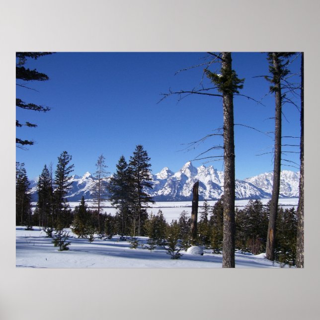 The Tetons in February Poster (Front)