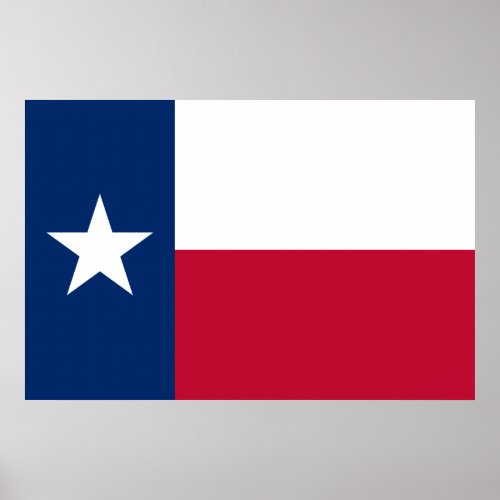 The Texan Lone Star State Flag of Texas Poster