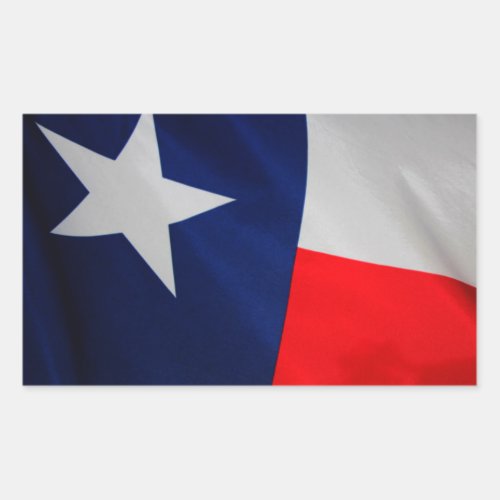 The Texas Flag sticker