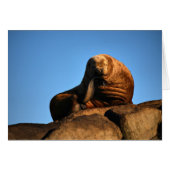 The Thinker (Front Horizontal)