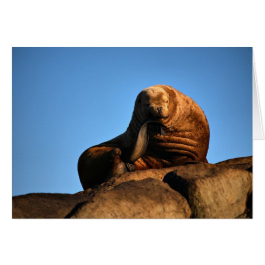 The Thinker (Front Horizontal)