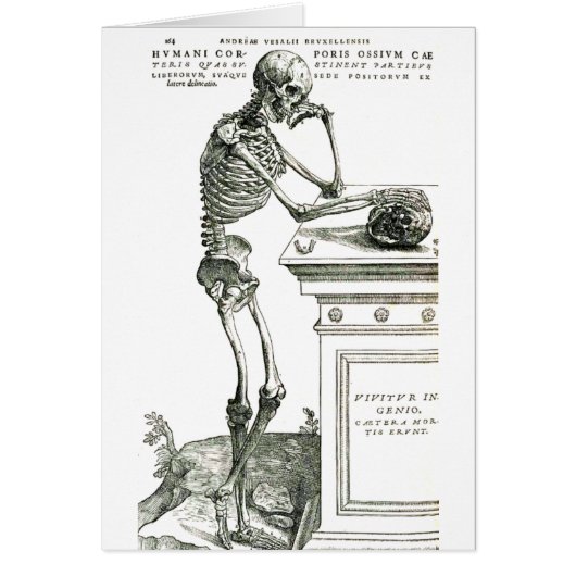 The Thoughtful Skeleton Cards (Front)