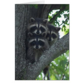 The Three Amigos (Front)