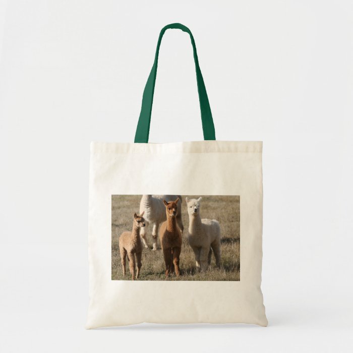The Three Amigos, Alpaca Style Tote Bag