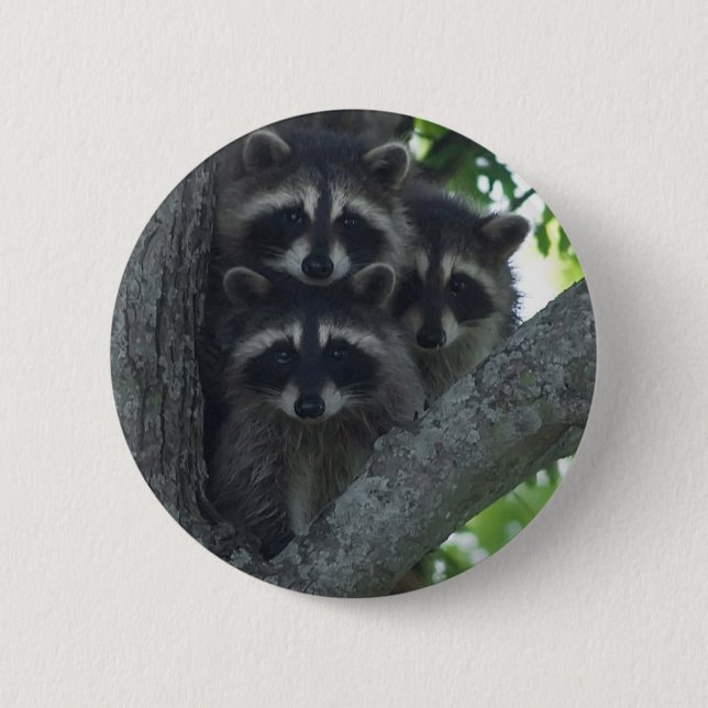 The Three Amigos Button (Front)