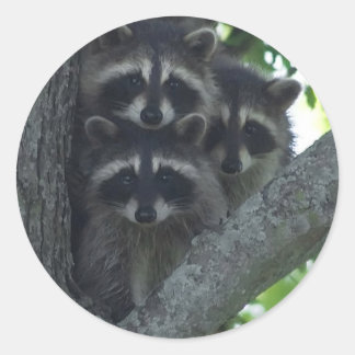 The Three Amigos Classic Round Sticker