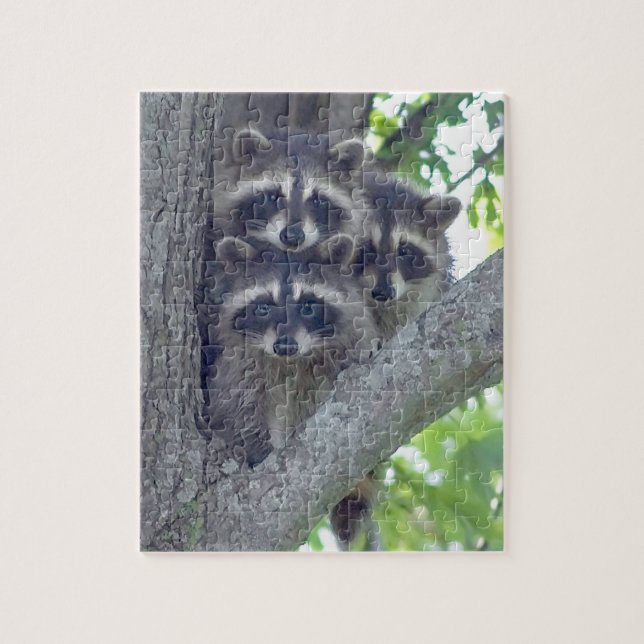 The Three Amigos Puzzle (Vertical)