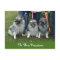 The Three Keesateers Postcard